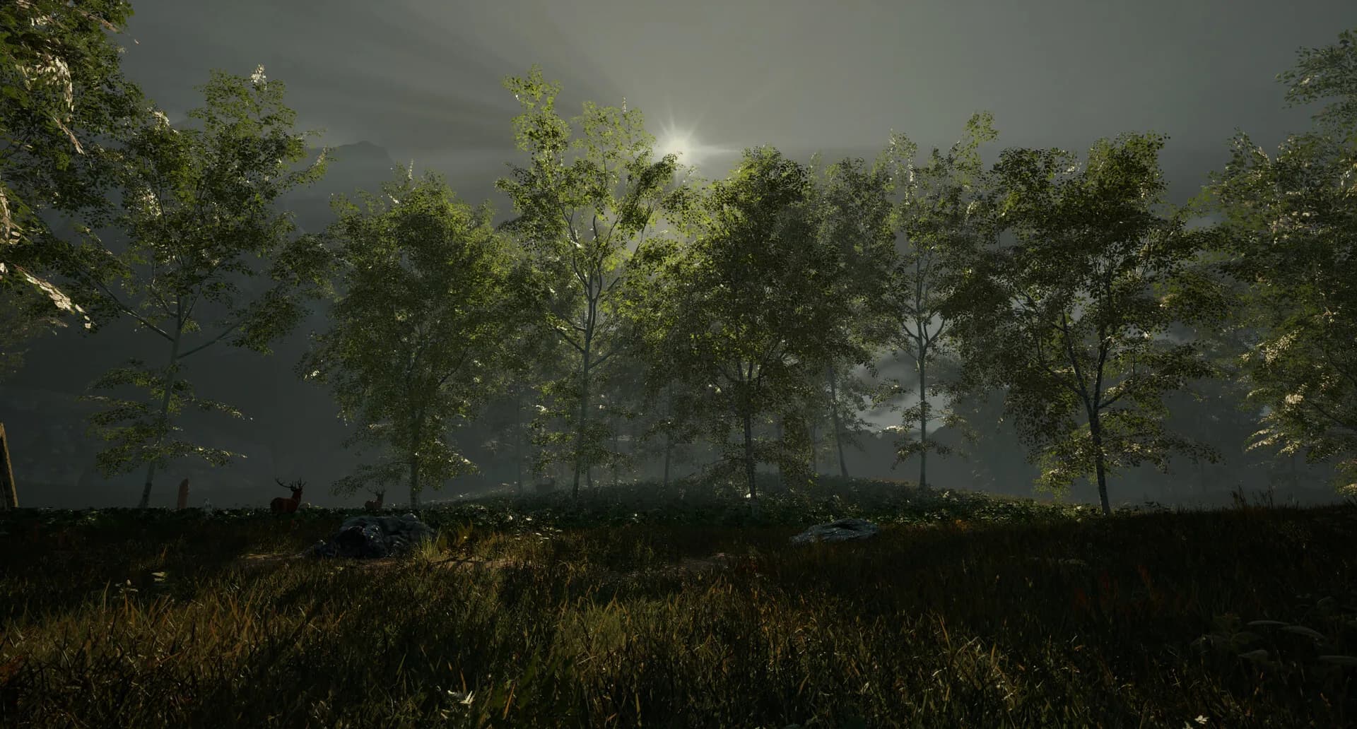 Veil Phane - Path to Redemption görsel 2