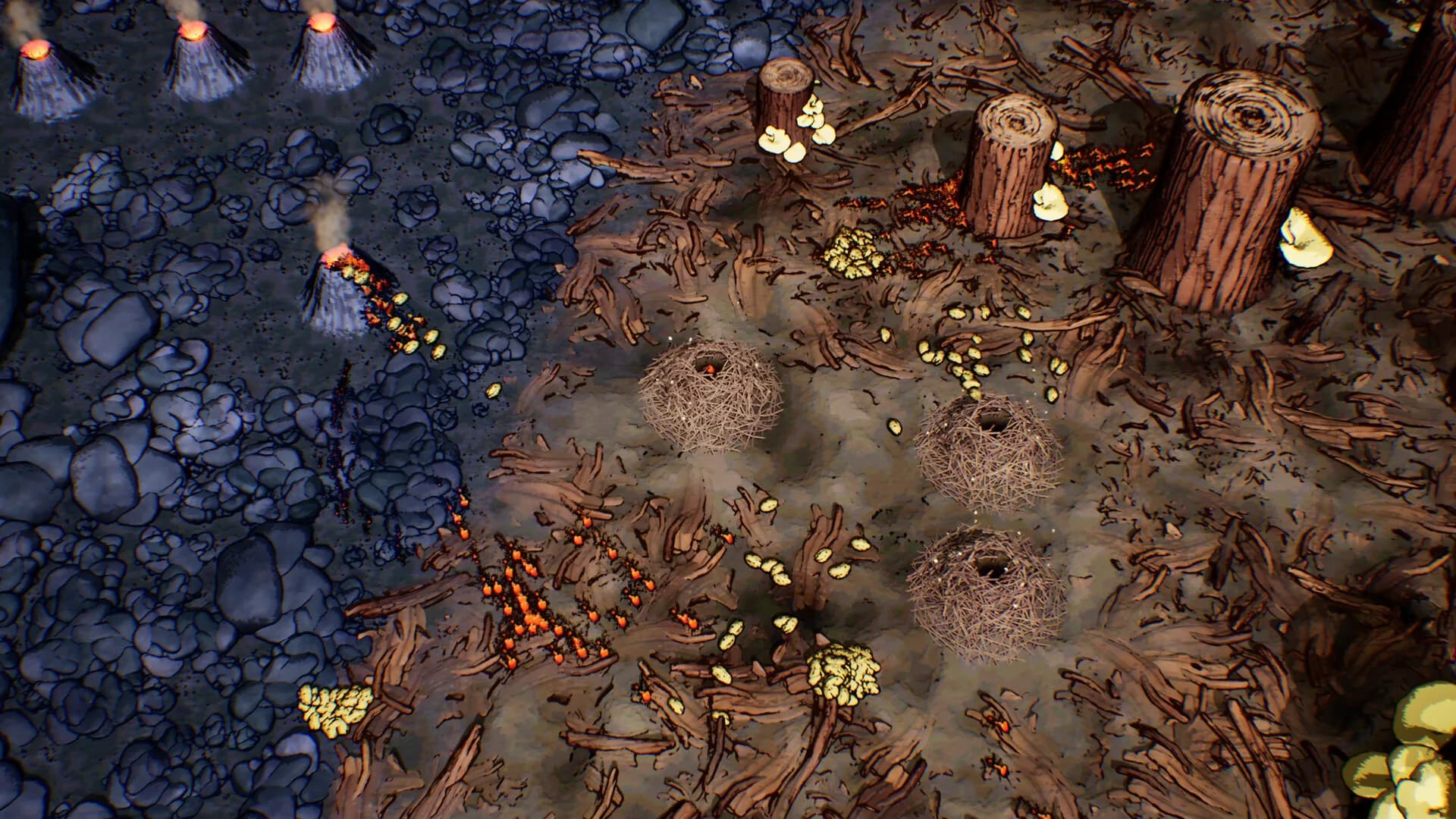 Ants Times Infinity görsel 2