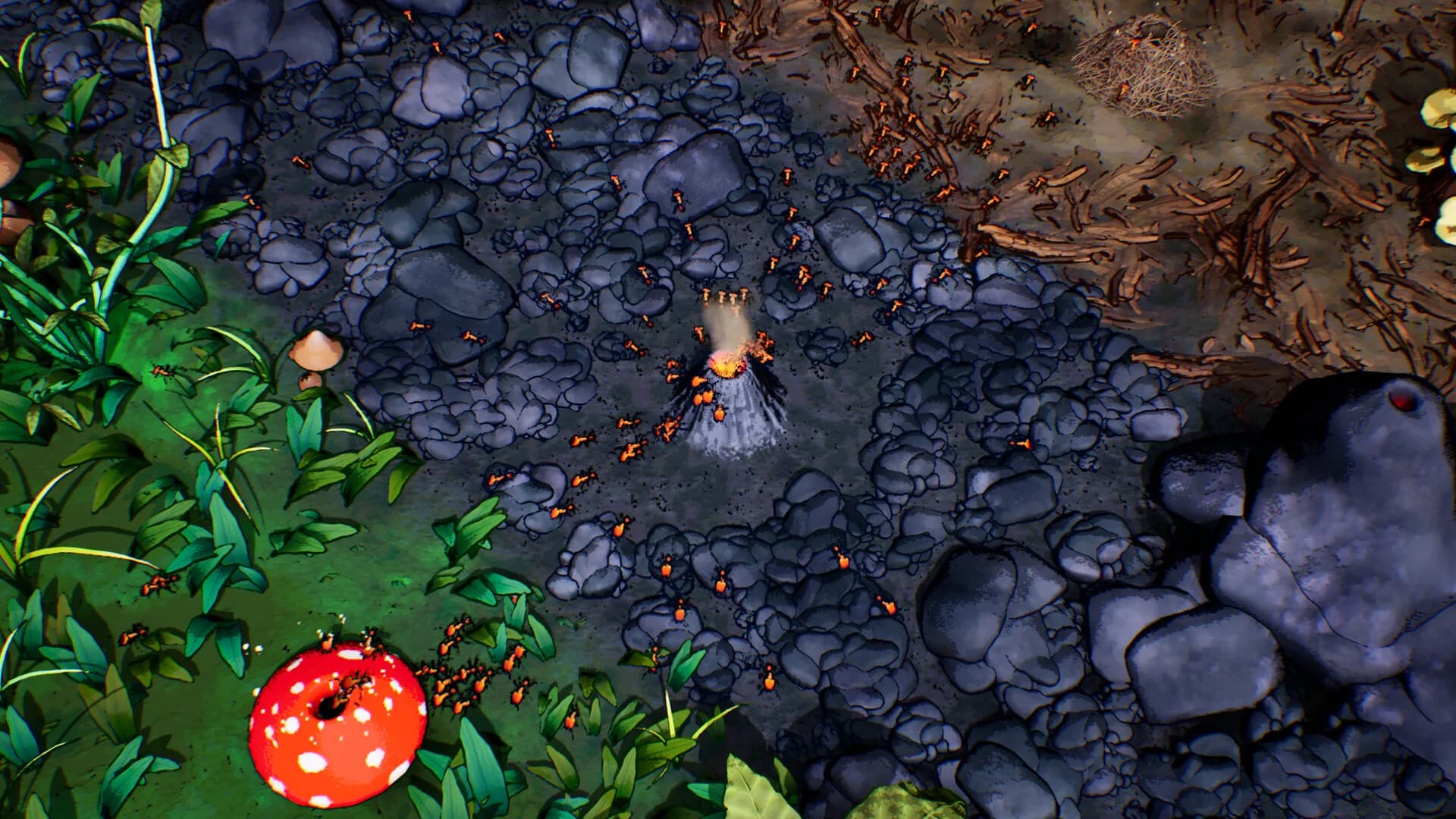 Ants Times Infinity görsel 7