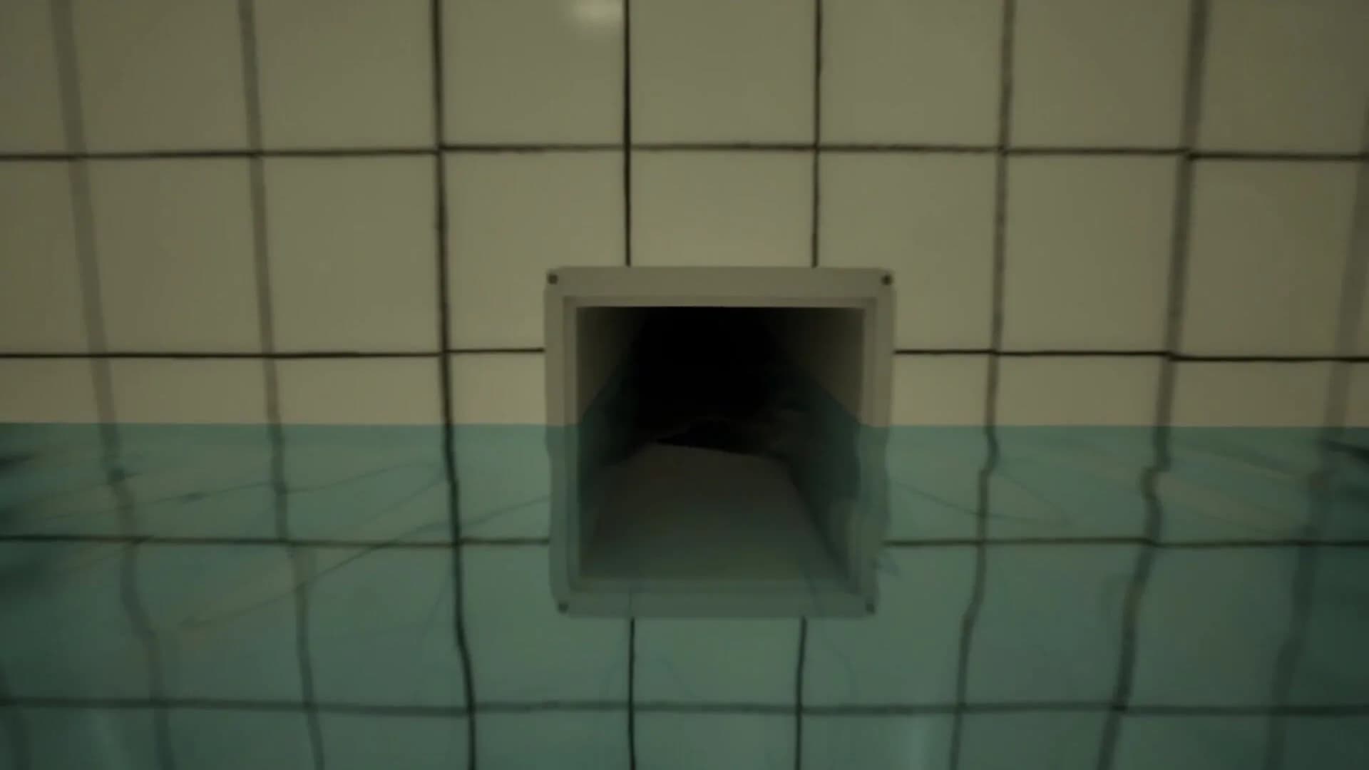 Backrooms Anomaly: Pools görsel 8