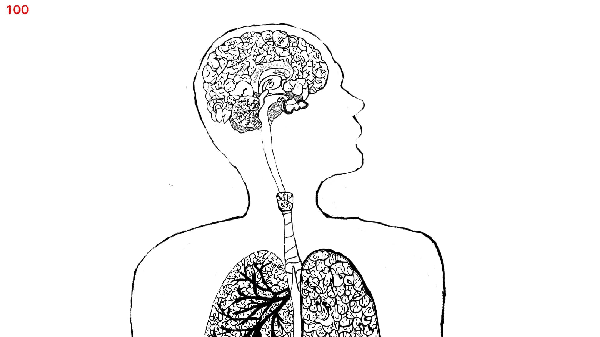 Let's Find Cats Inside the Human Body görsel 6
