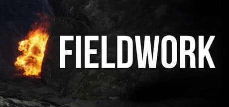 Fieldwork