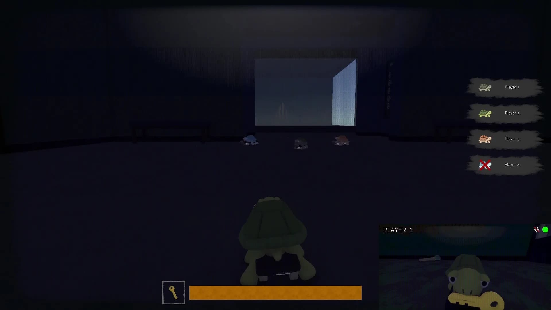 TurtleSkate görsel 5