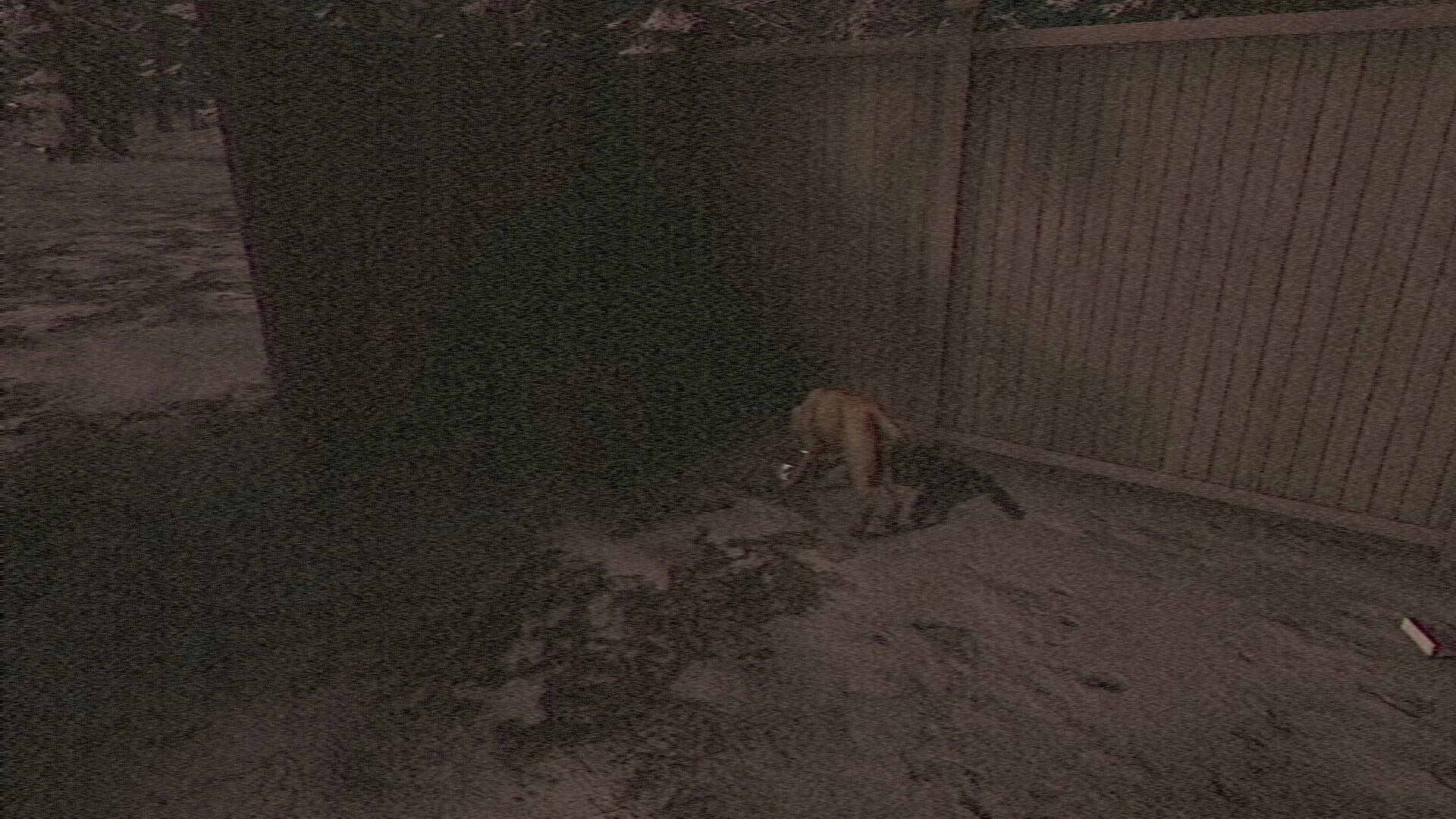 Creepytape Rewind - Not From Here görsel 13