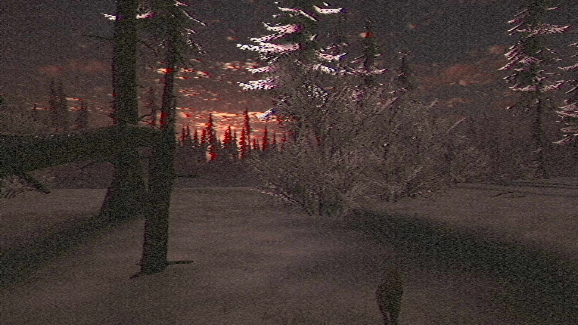 Creepytape Rewind - Not From Here görsel 9