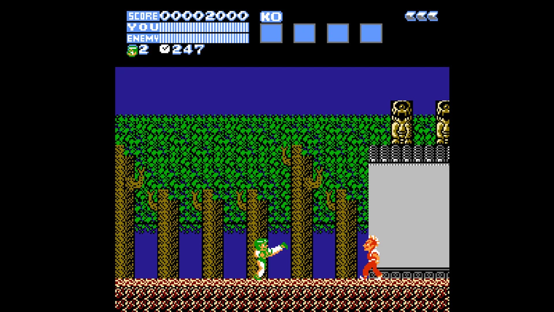 飛龍の拳 コレクション görsel 2