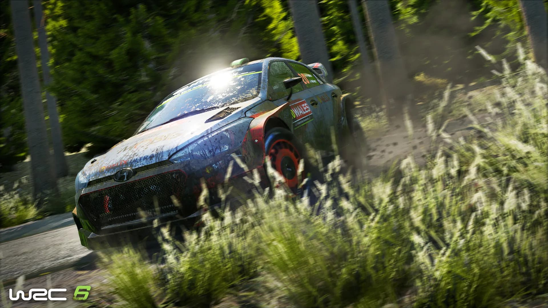 WRC 6 FIA World Rally Championship görsel 7