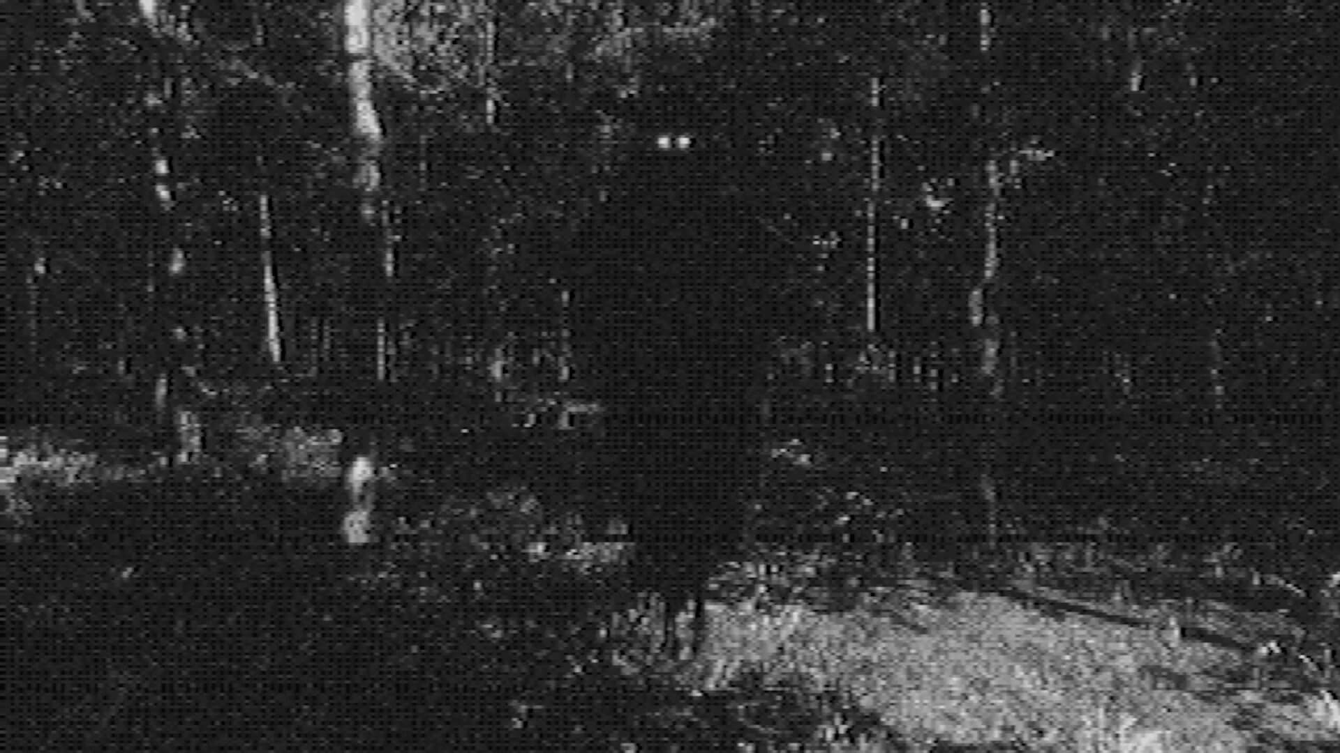 Fallgrade görsel 3