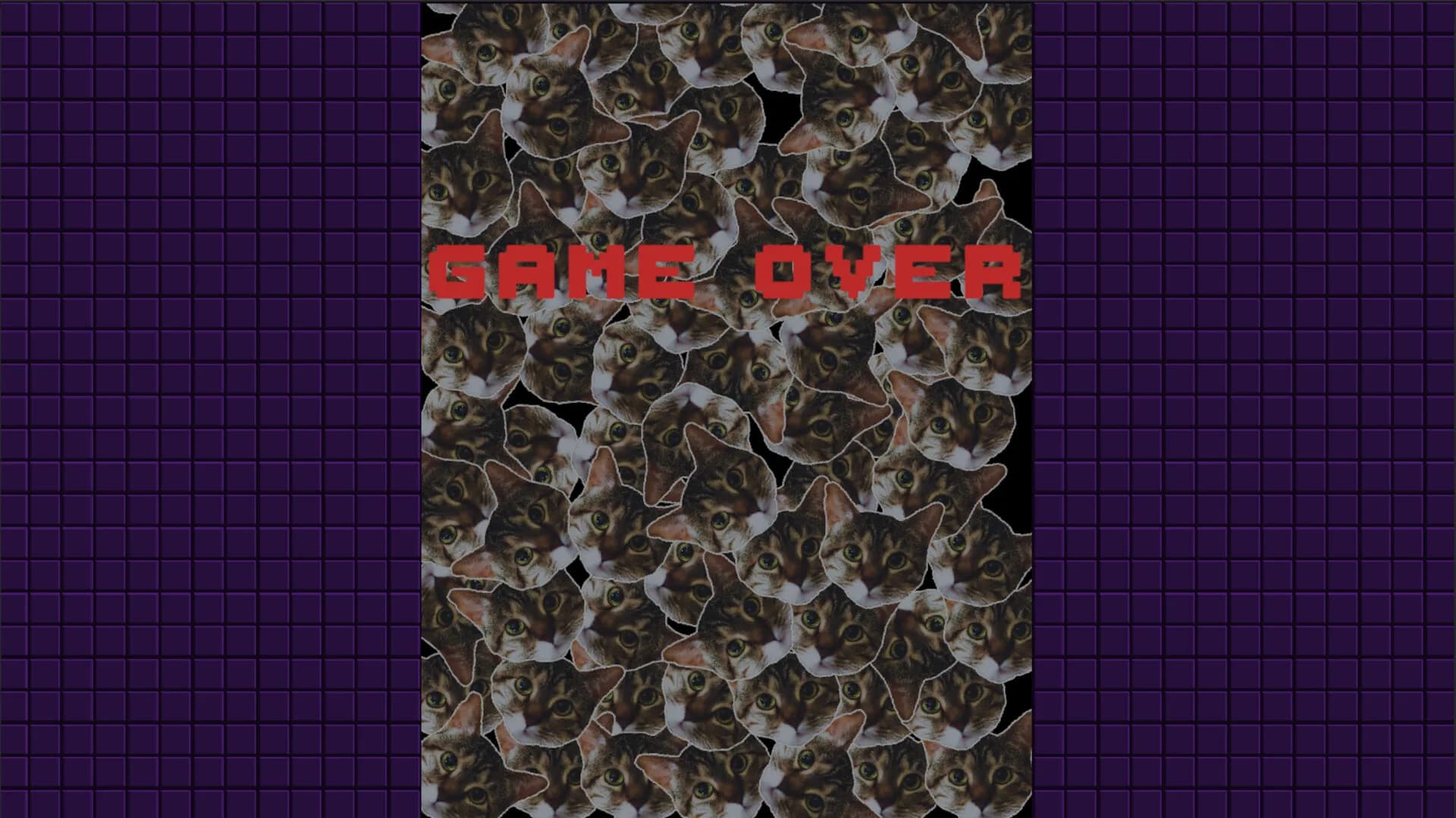 Lunyatic Invaders görsel 6