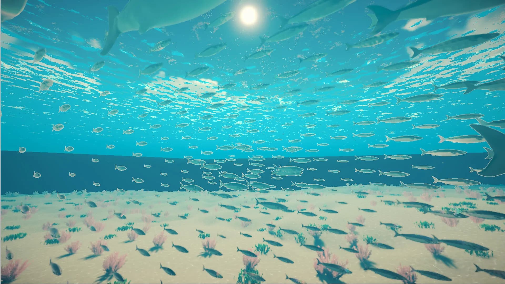My Little Ocean görsel 2