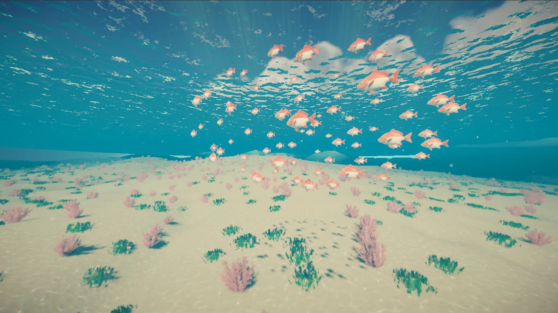 My Little Ocean görsel 3