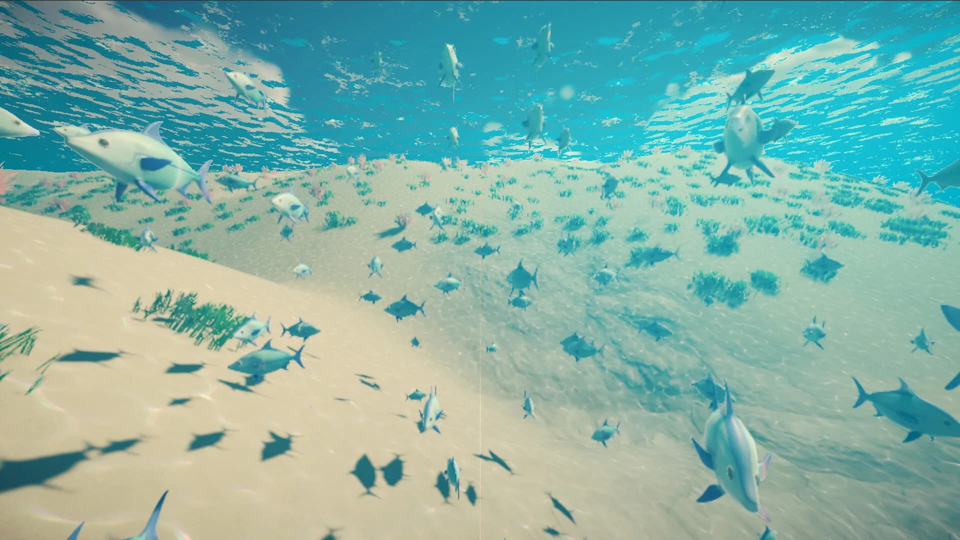 My Little Ocean görsel 4