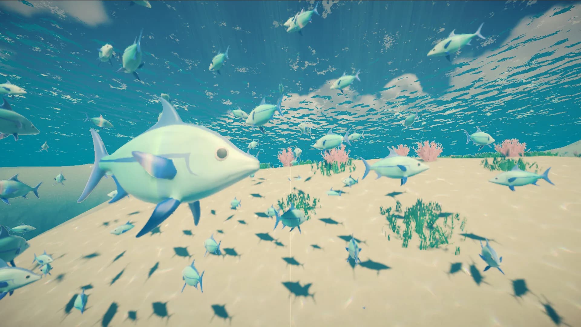 My Little Ocean görsel 5