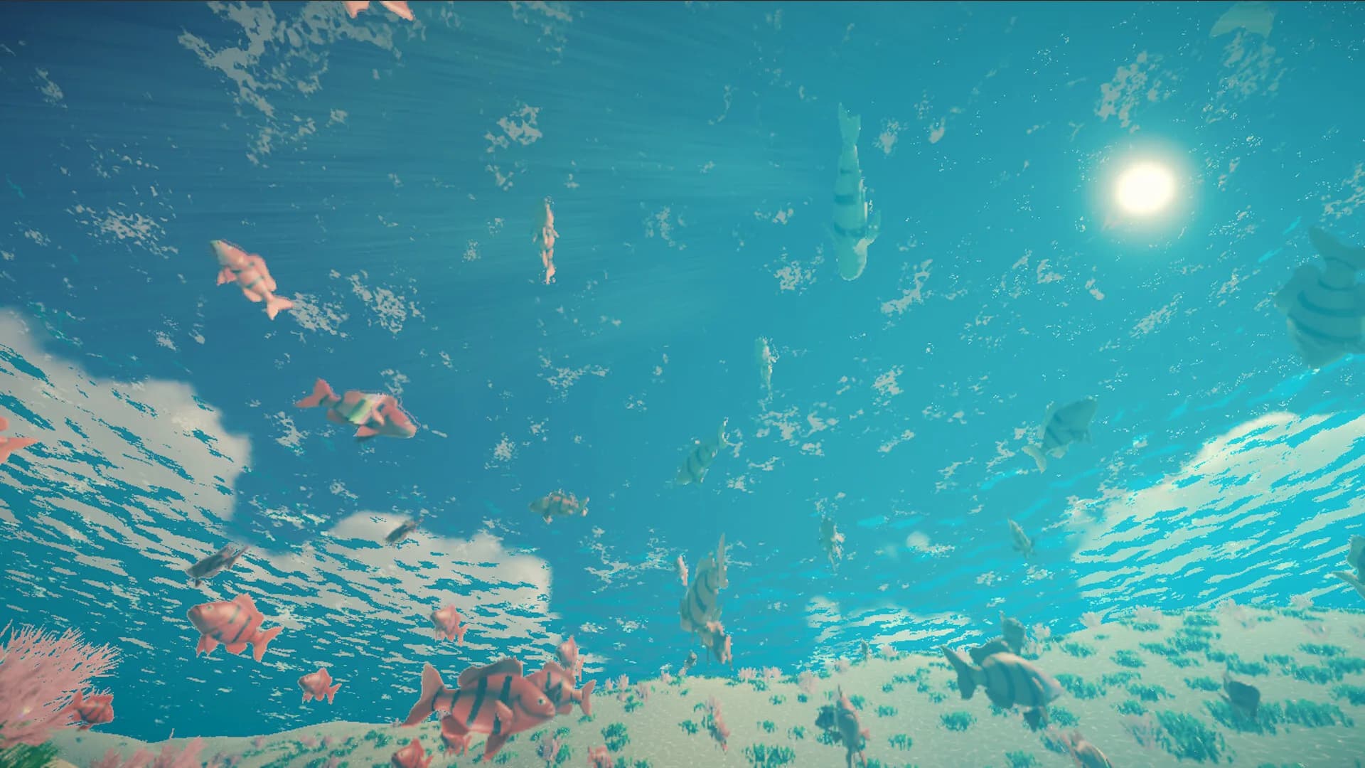 My Little Ocean görsel 6
