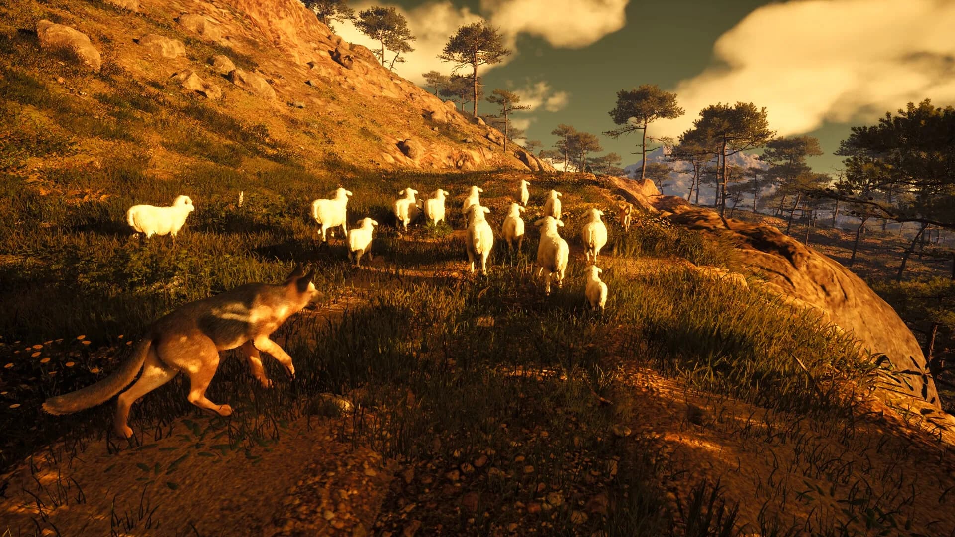 Medieval Shepherd görsel 2