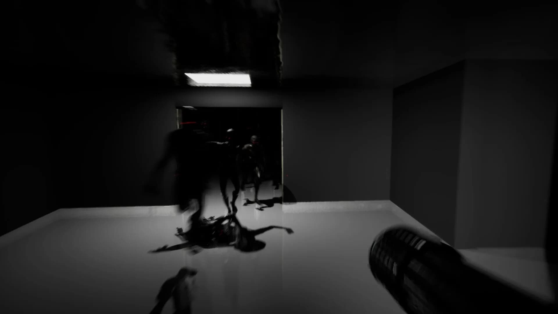 GNAW görsel 11
