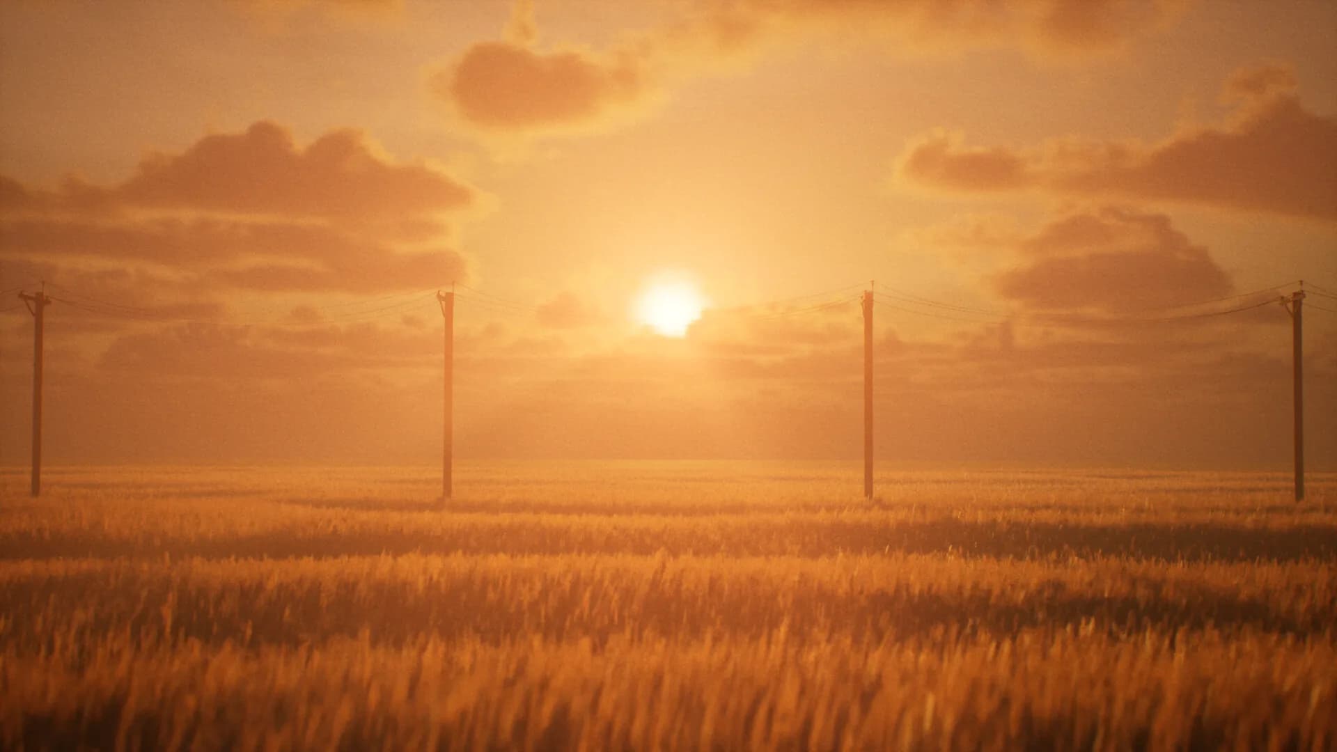 DREAMFIELD görsel 6