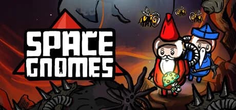 Space Gnomes