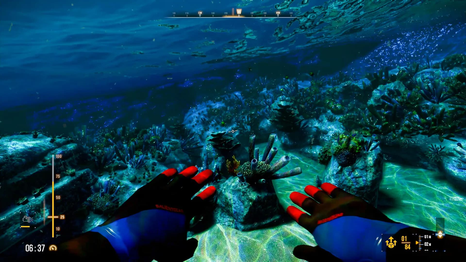 Deep Diving Adventures 2 görsel 2