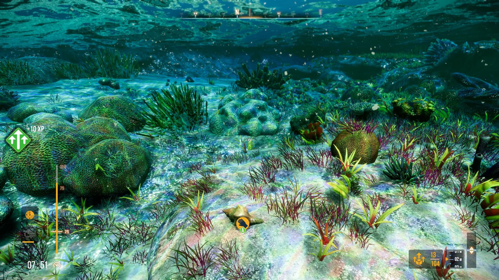 Deep Diving Adventures 2 görsel 12