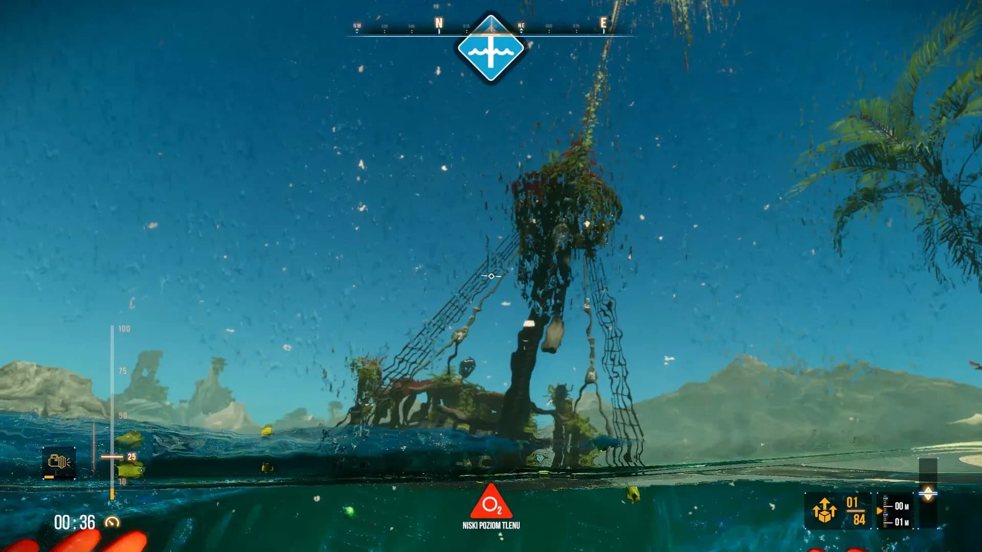 Deep Diving Adventures 2 görsel 4