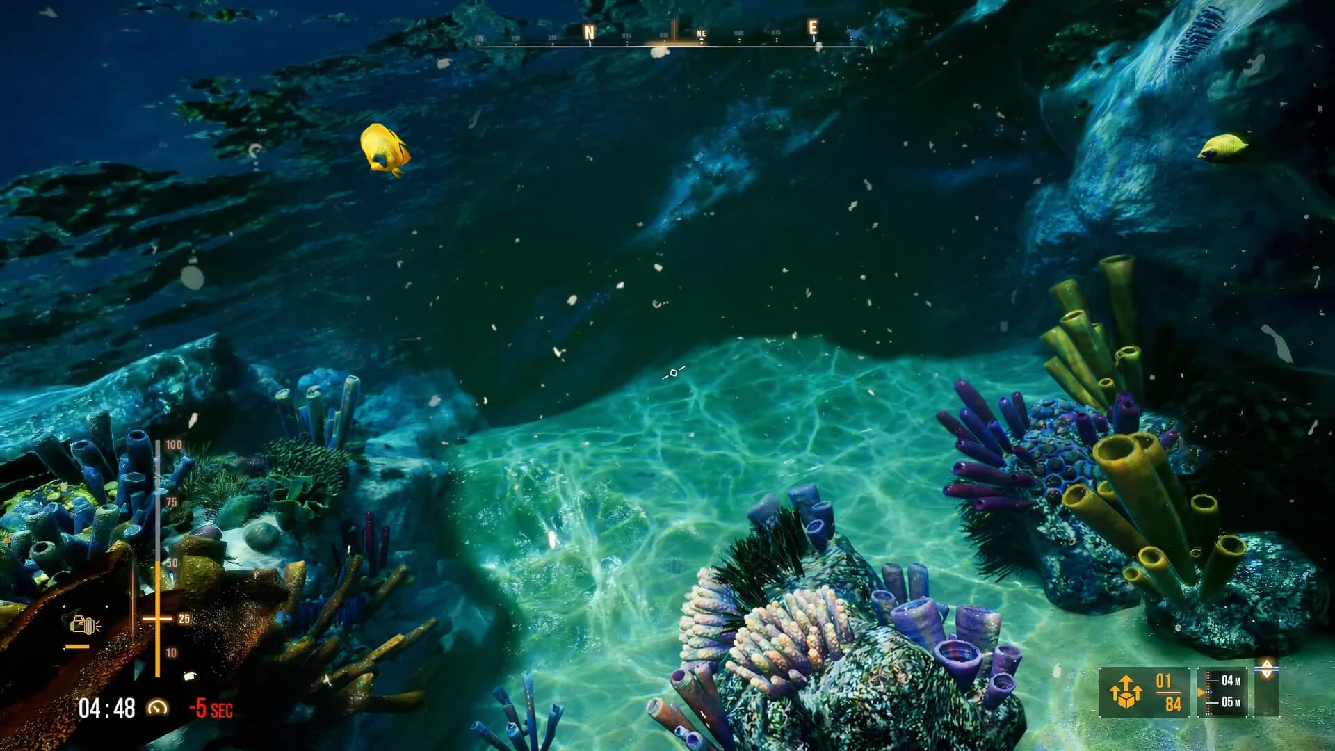 Deep Diving Adventures 2 görsel 7