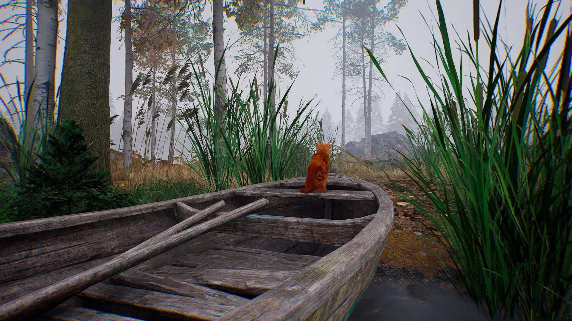 The Life You Missed görsel 14