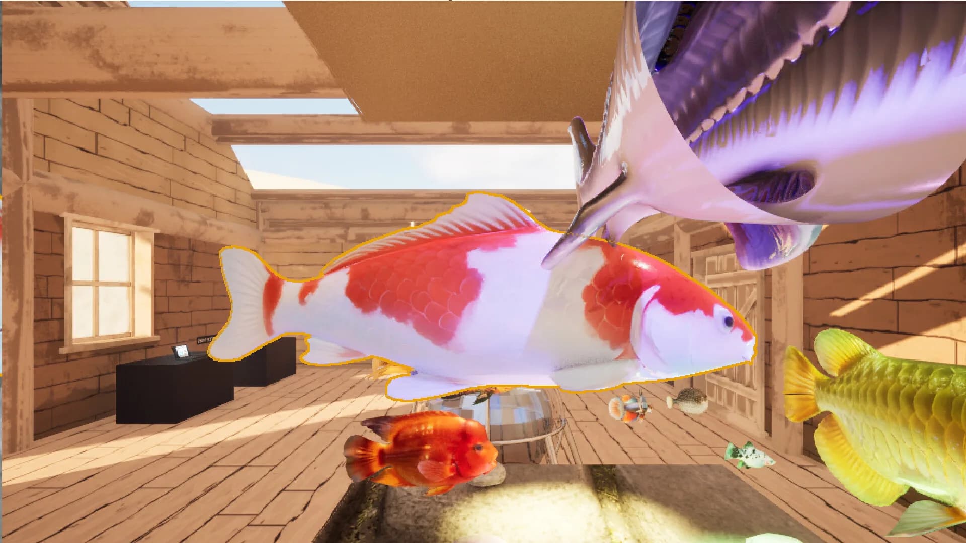 free as fish像鱼儿一样自由 görsel 15