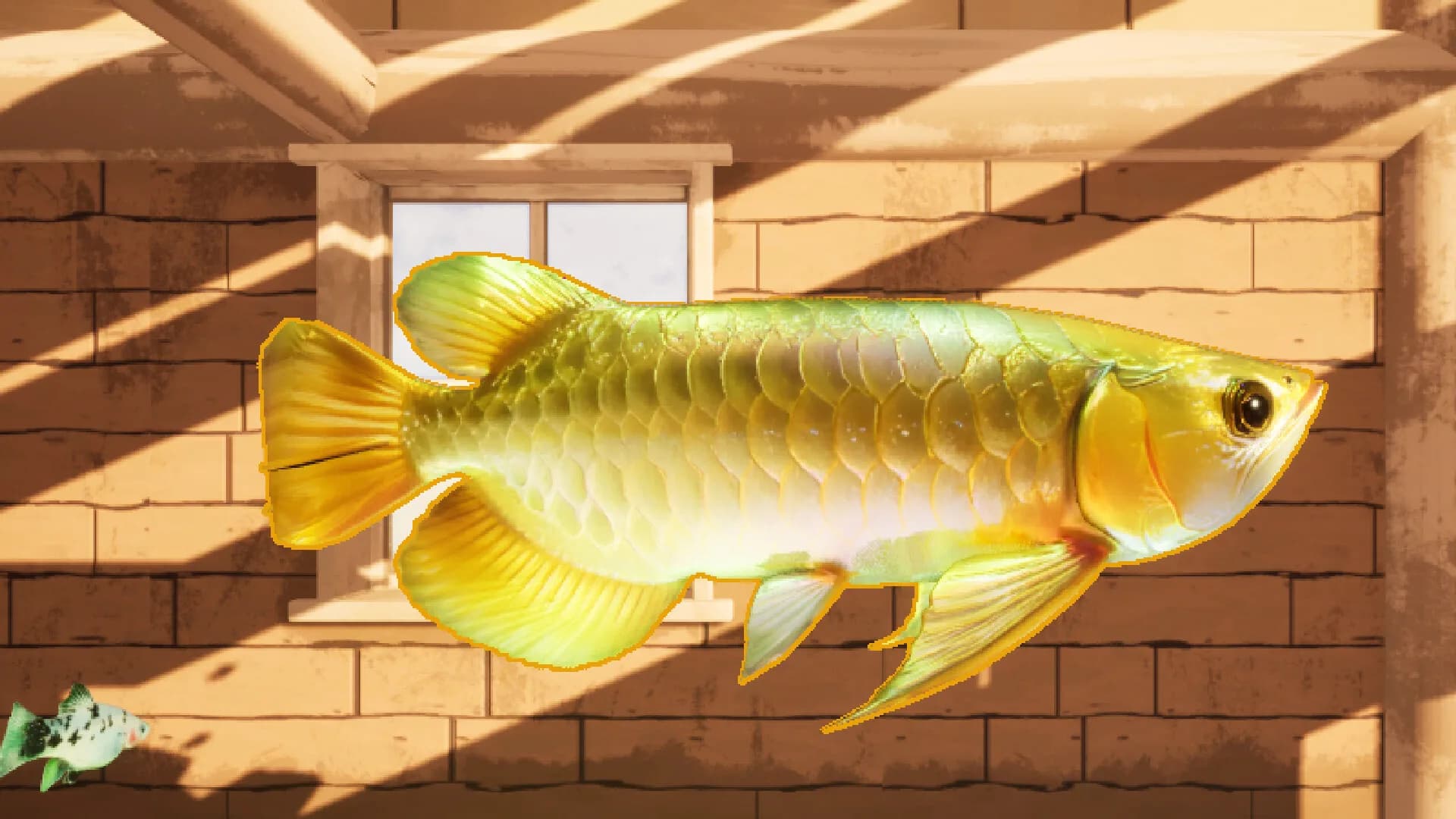 free as fish像鱼儿一样自由 görsel 8