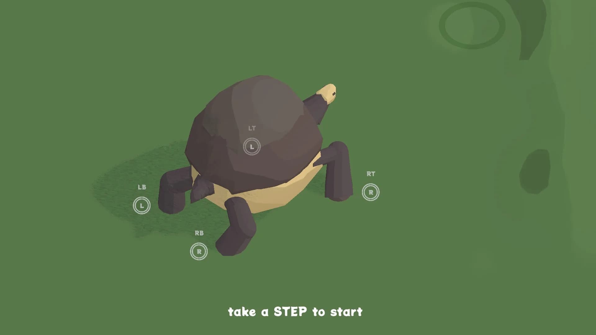 the art of Tortoise Walking görsel 2