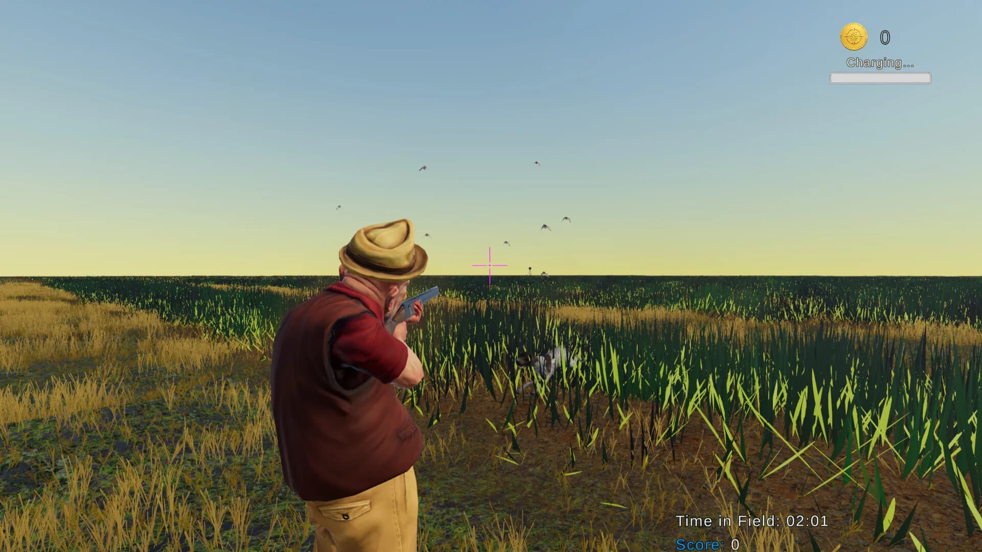 Birdshot görsel 3