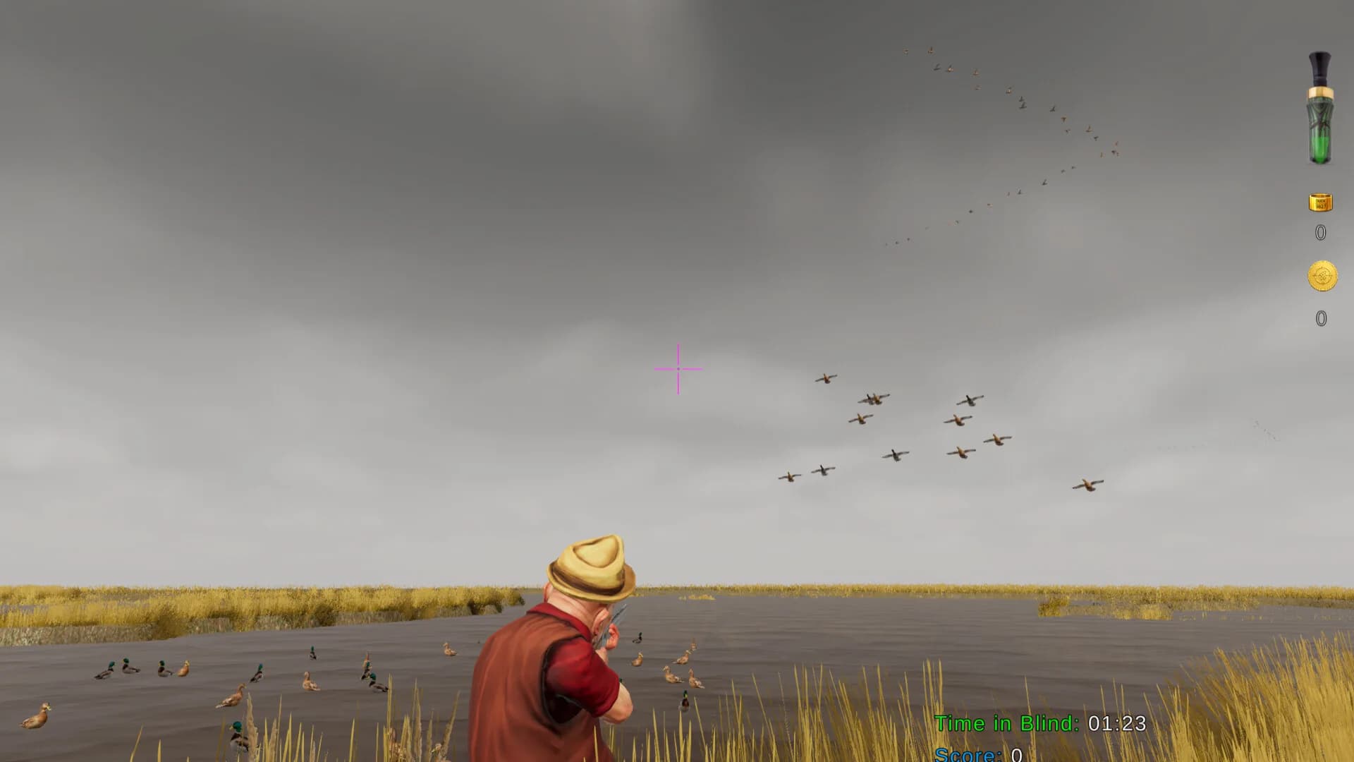 Birdshot görsel 4