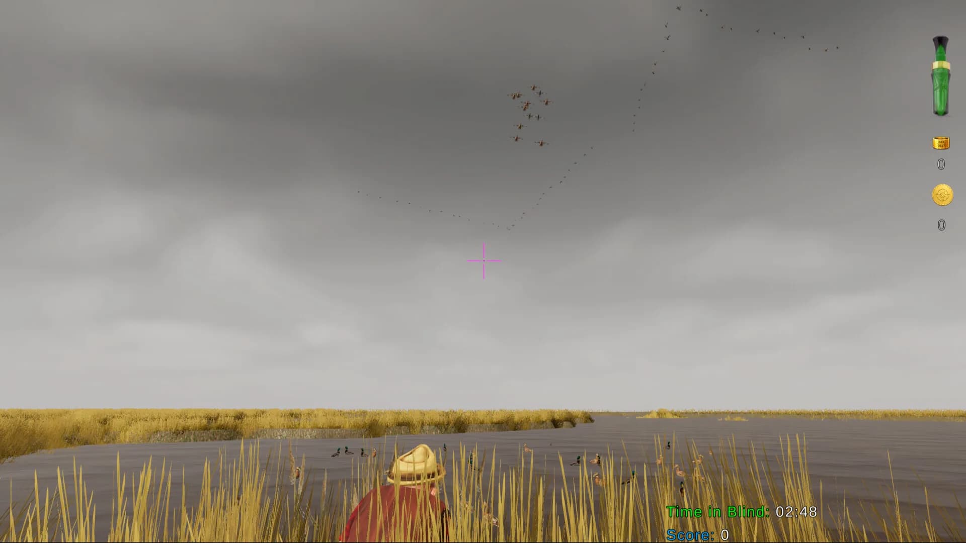 Birdshot görsel 5
