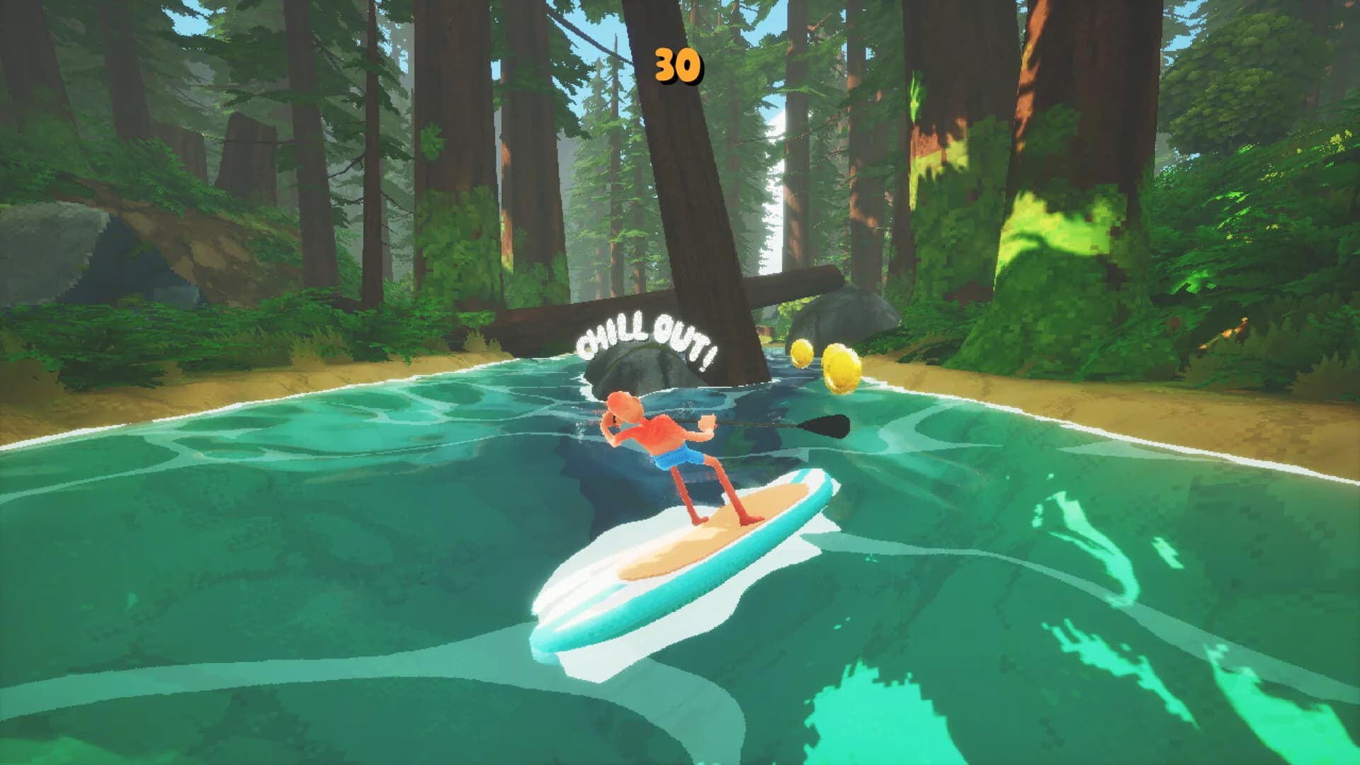 SUP görsel 3