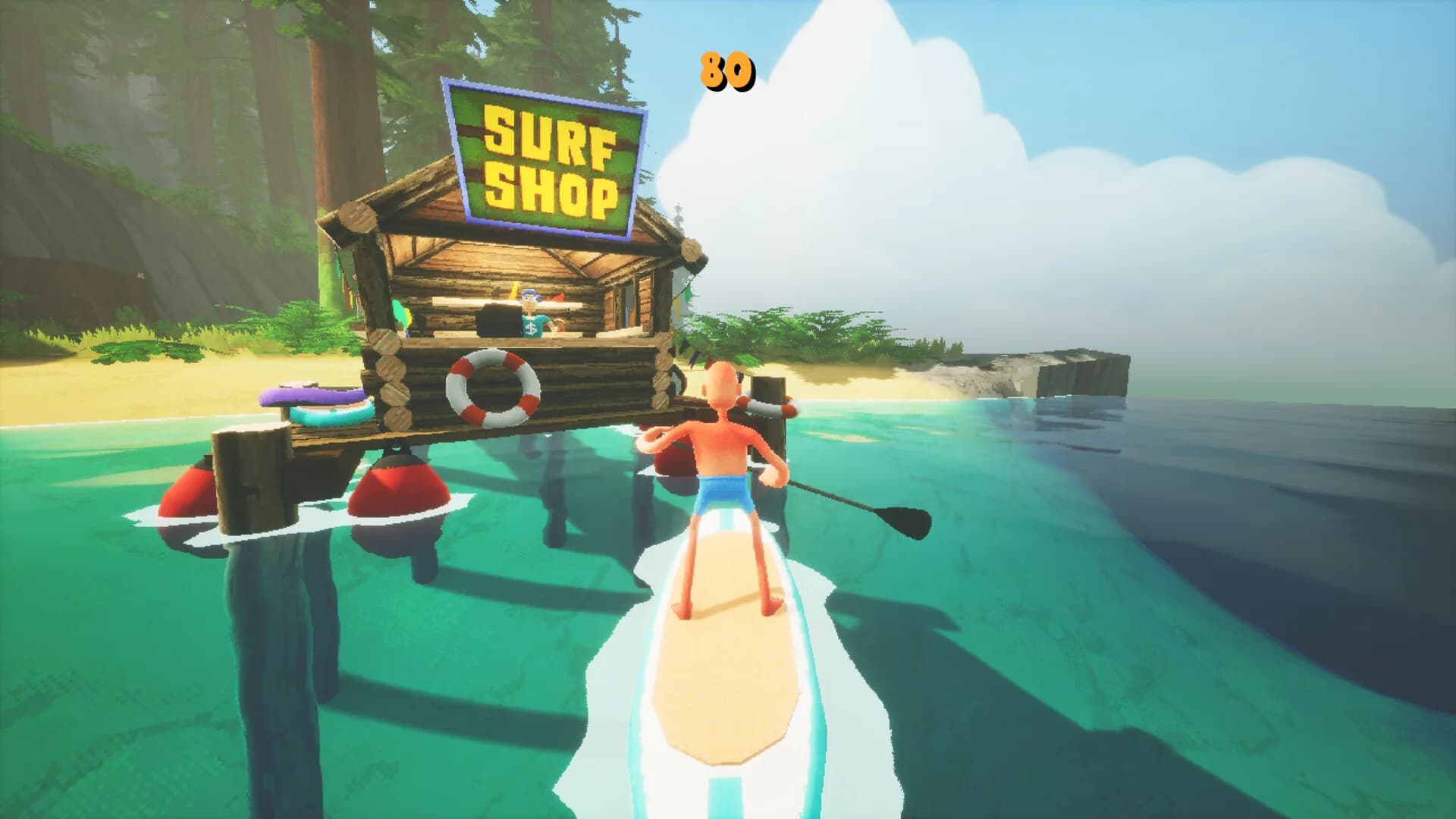 SUP görsel 4