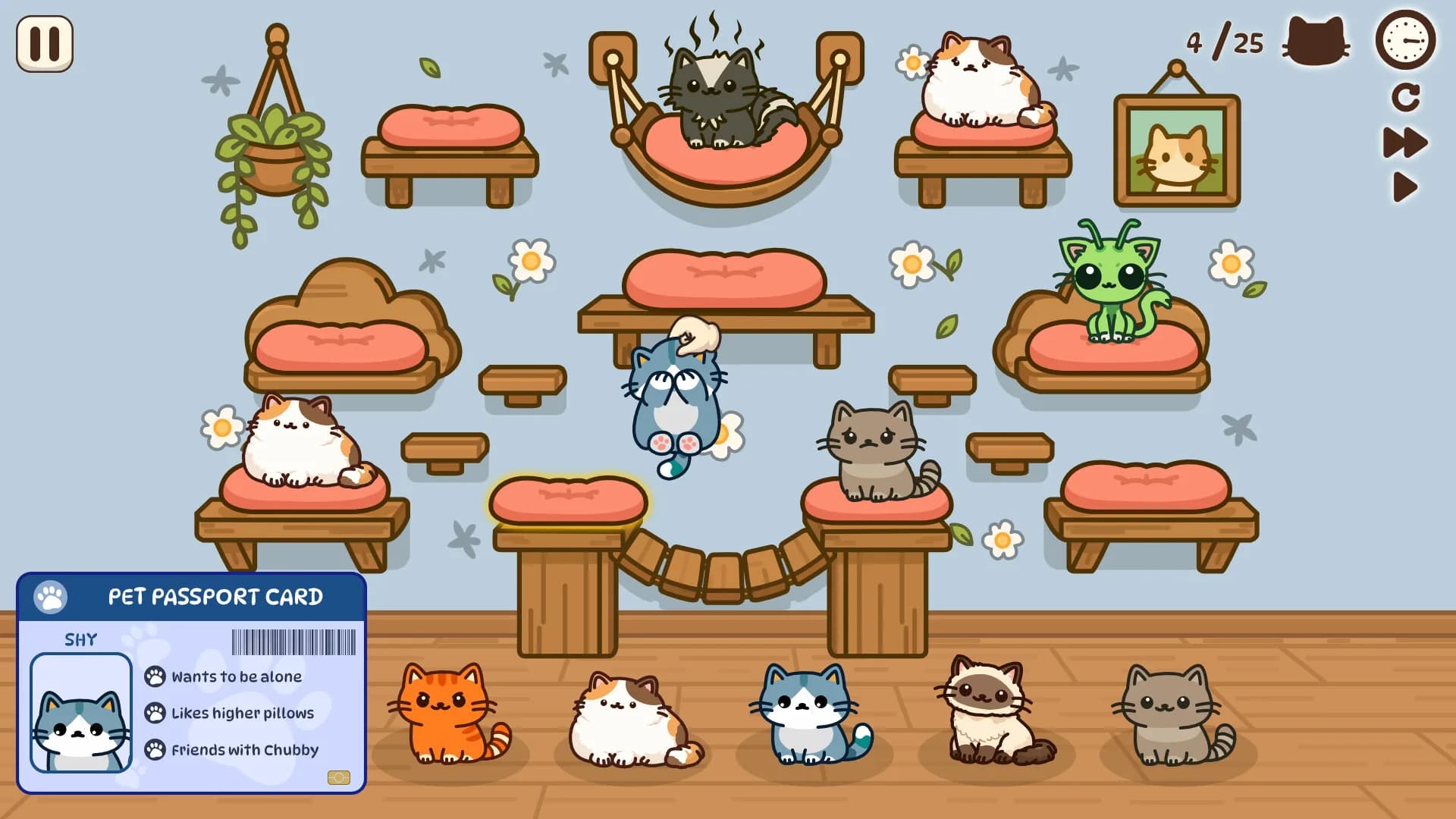 Cats And Pillows görsel 4