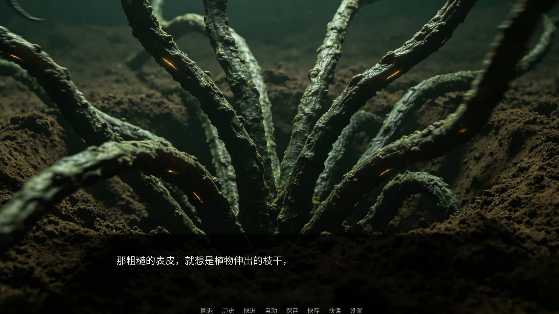 生物实验室：畸变实验记录 görsel 5