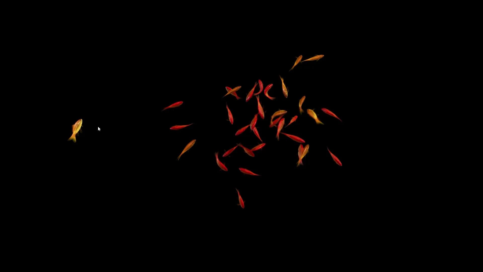 Goldfish Simulator görsel 2