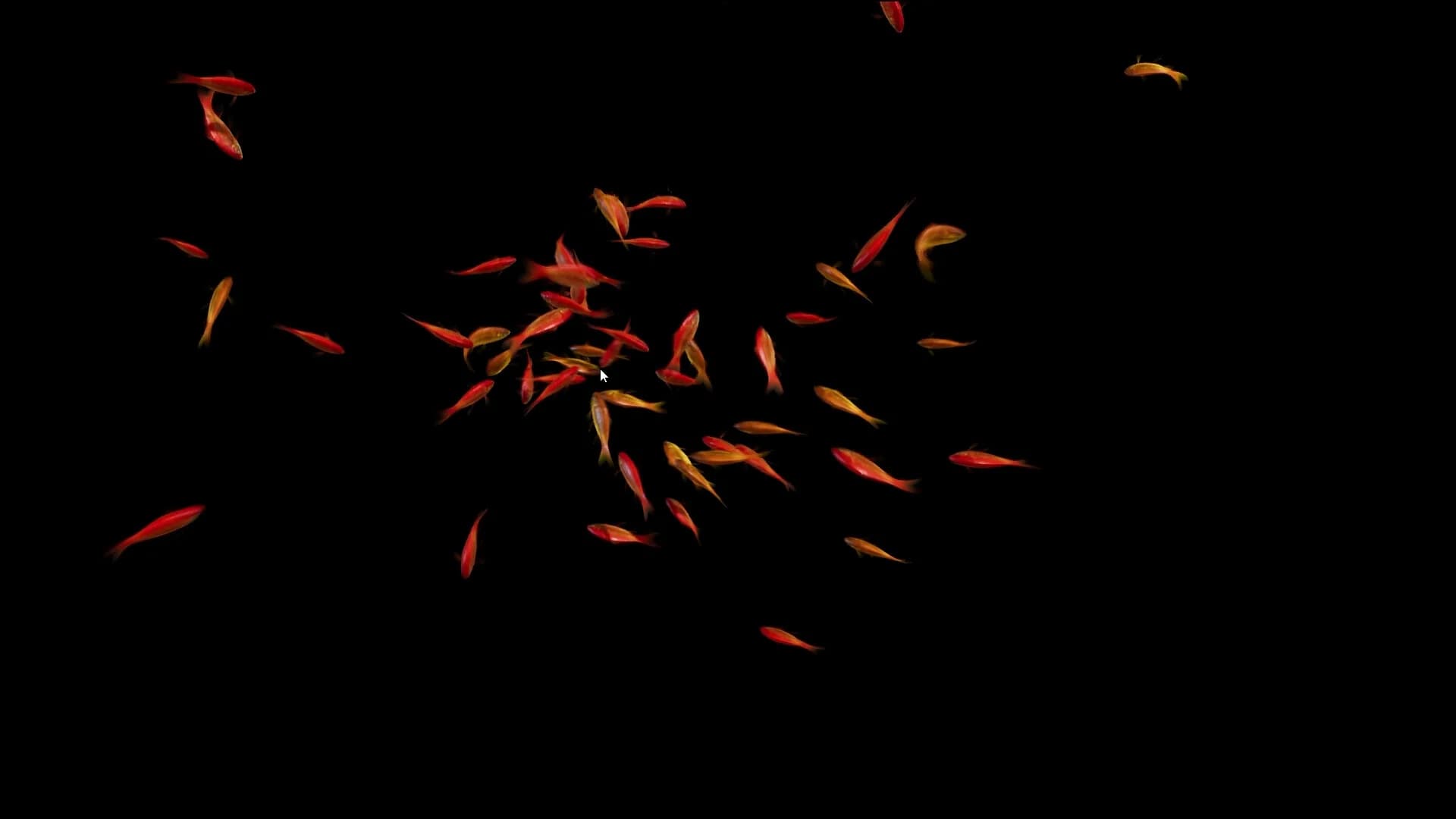 Goldfish Simulator görsel 3