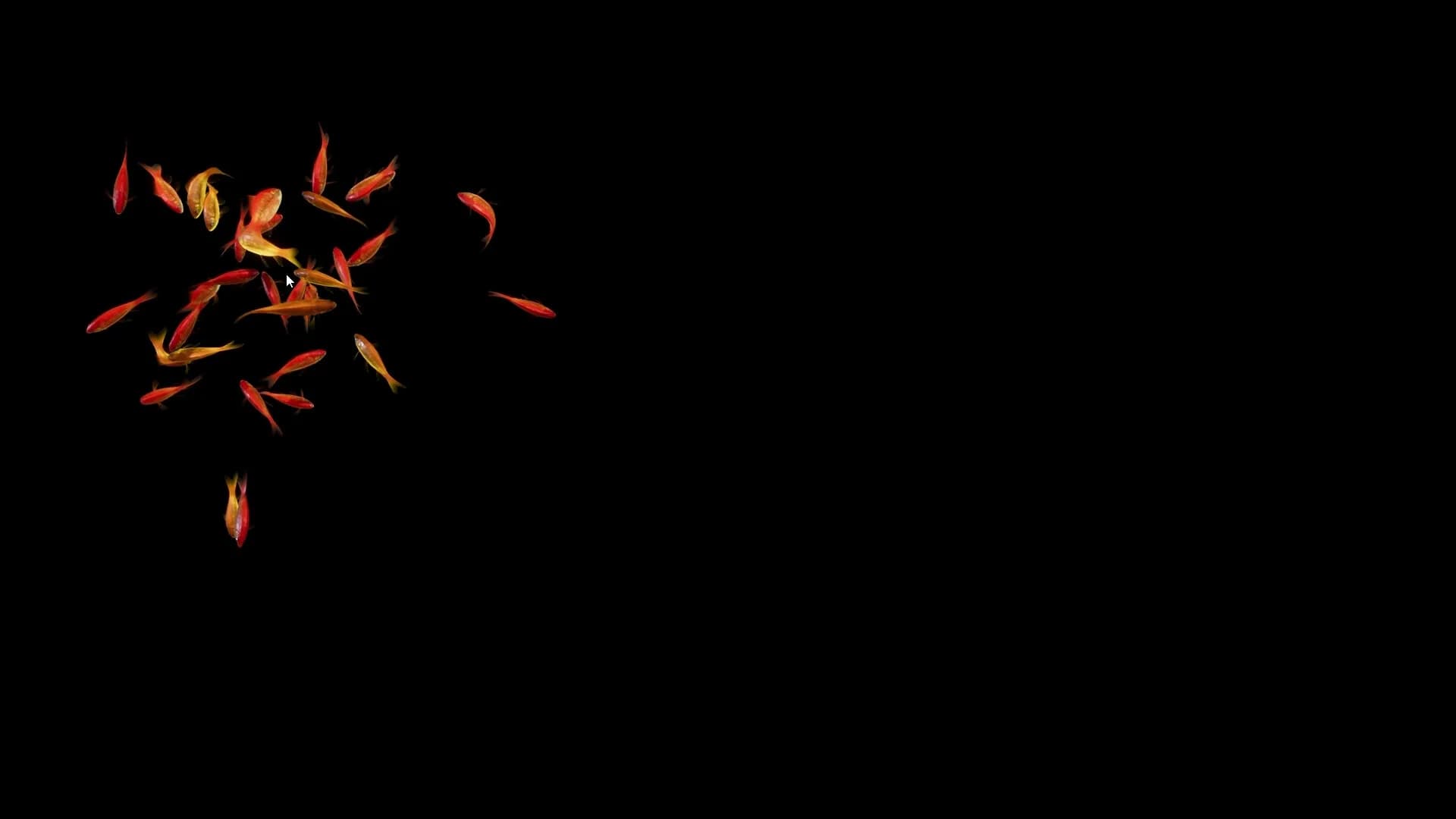 Goldfish Simulator görsel 4