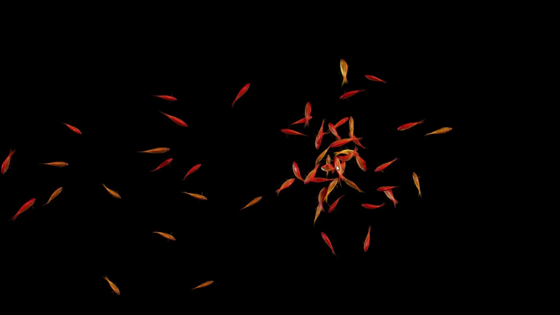 Goldfish Simulator görsel 5