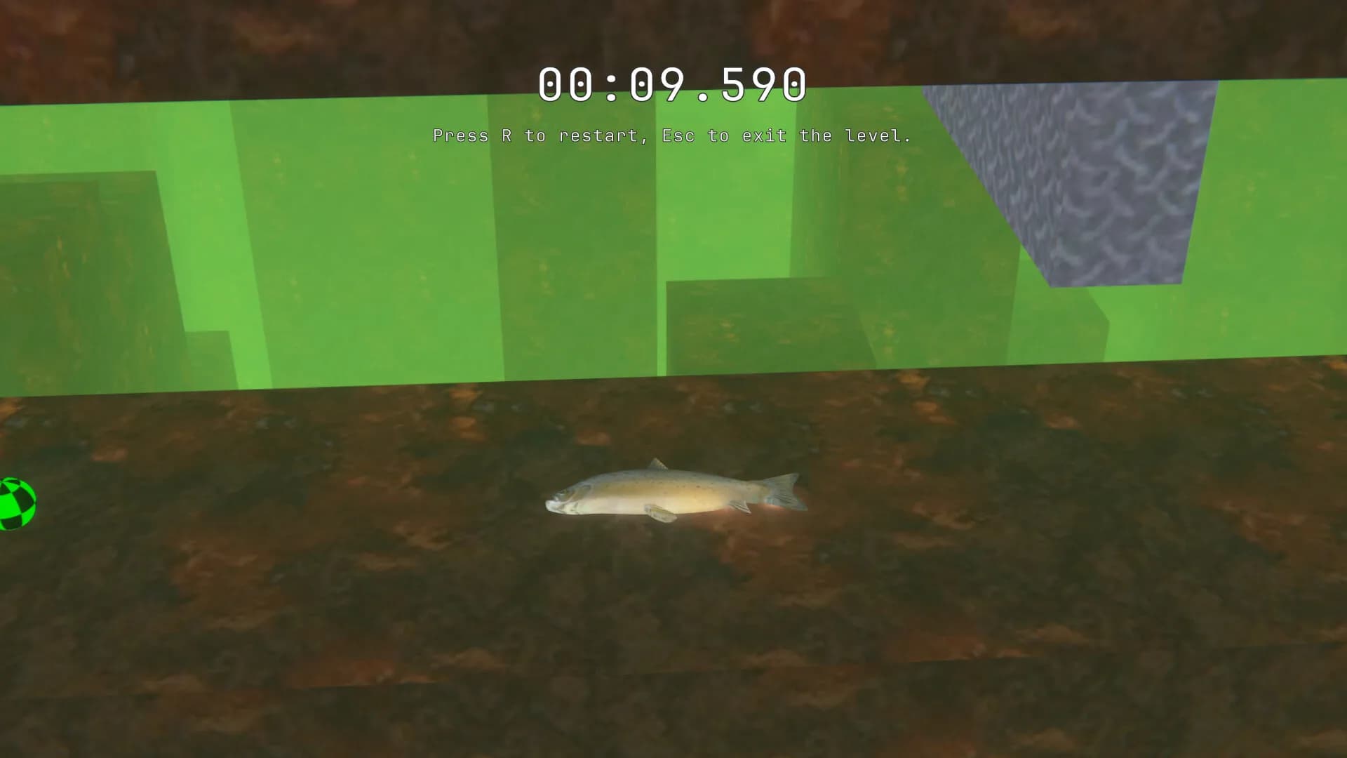 SALMON görsel 5