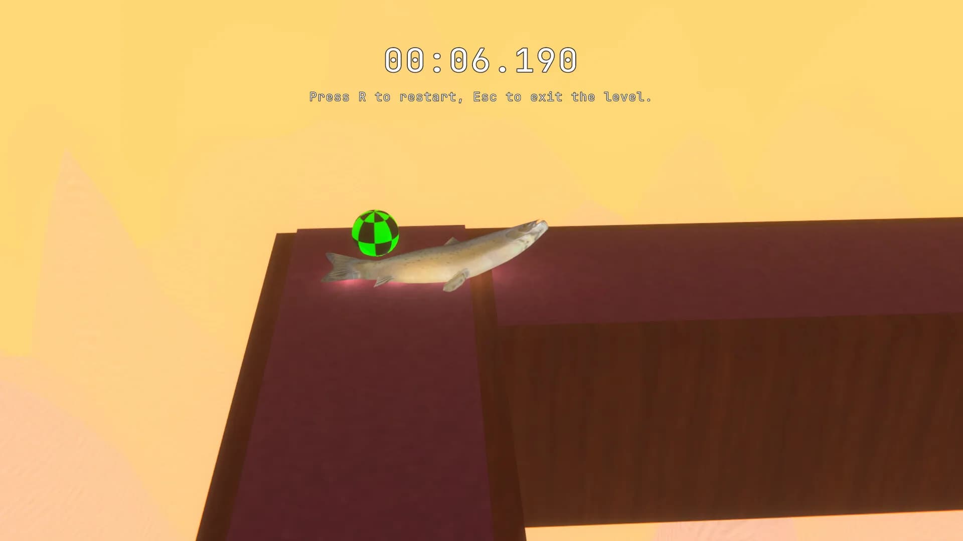 SALMON görsel 6