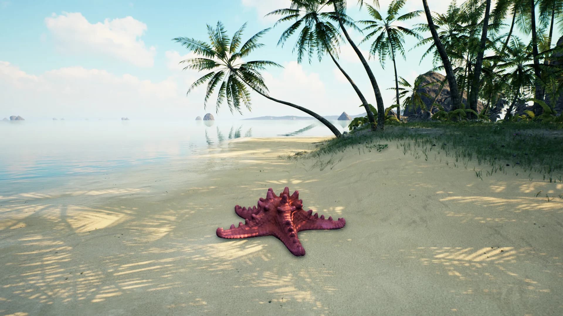 Starfish Simulator 👍 görsel 2