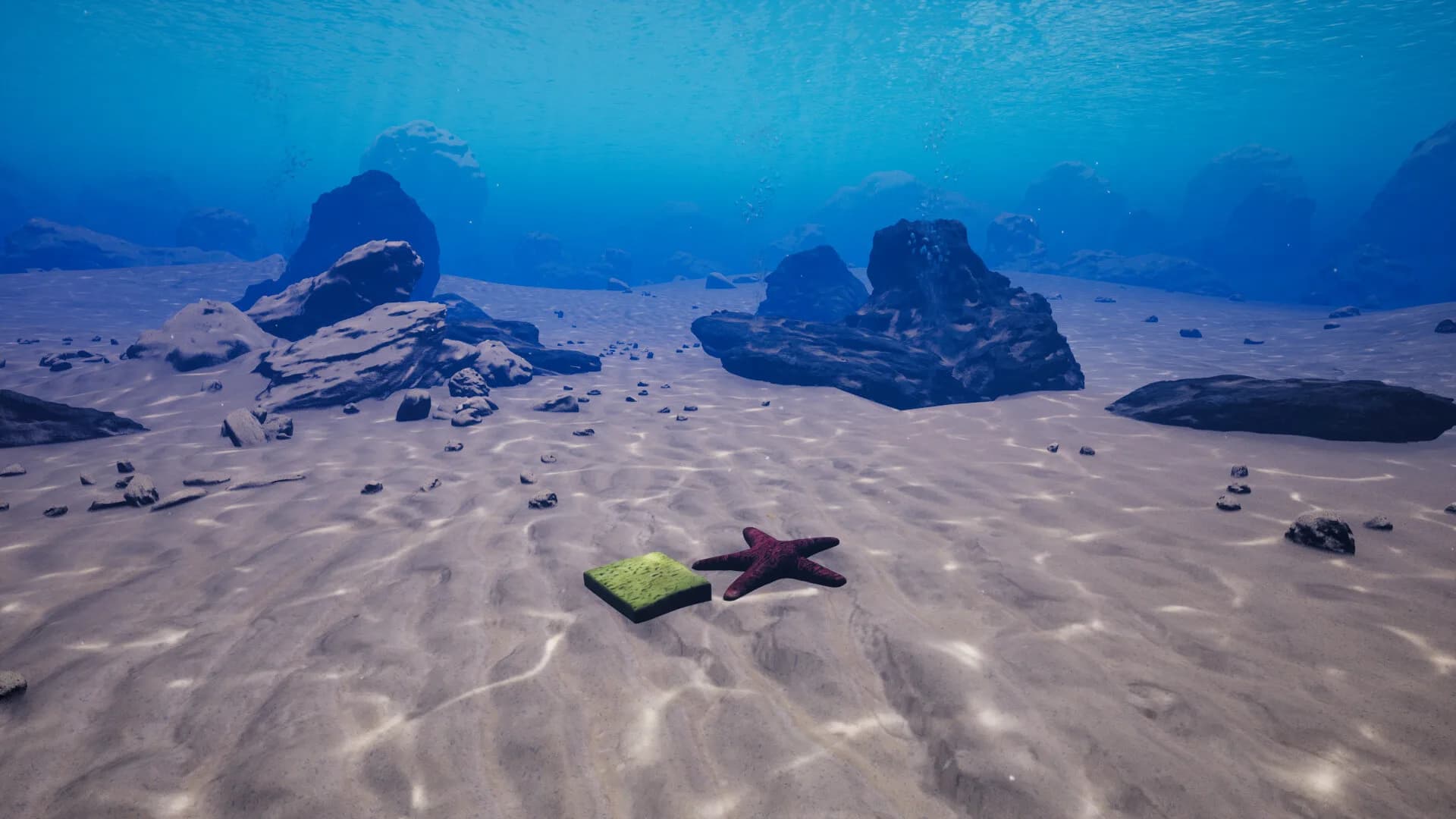 Starfish Simulator 👍 görsel 3