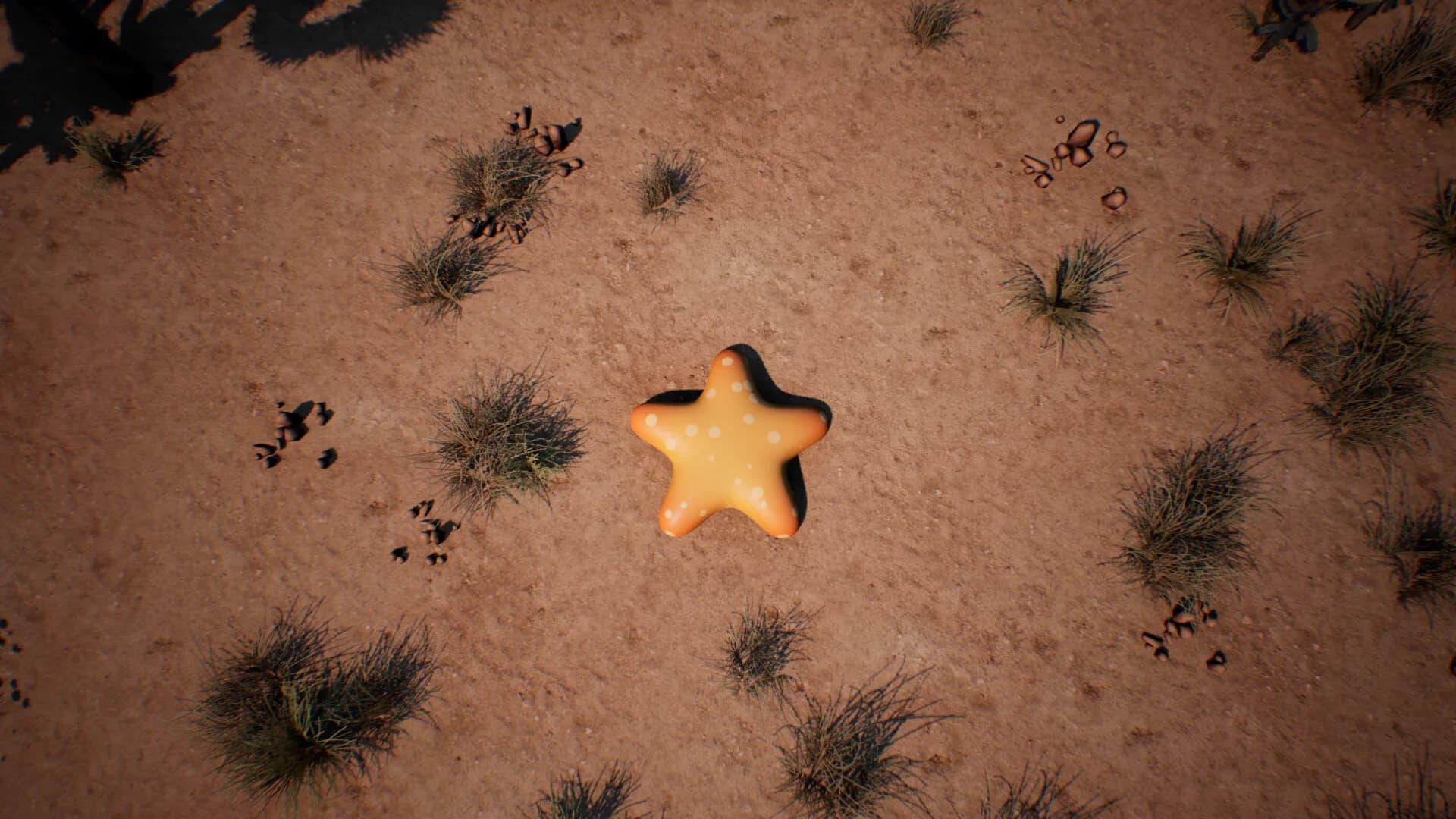 Starfish Simulator 👍 görsel 12