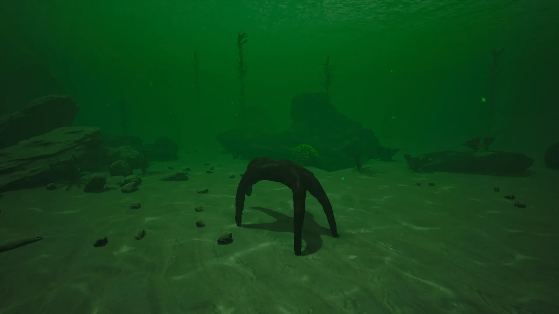 Starfish Simulator 👍 görsel 4