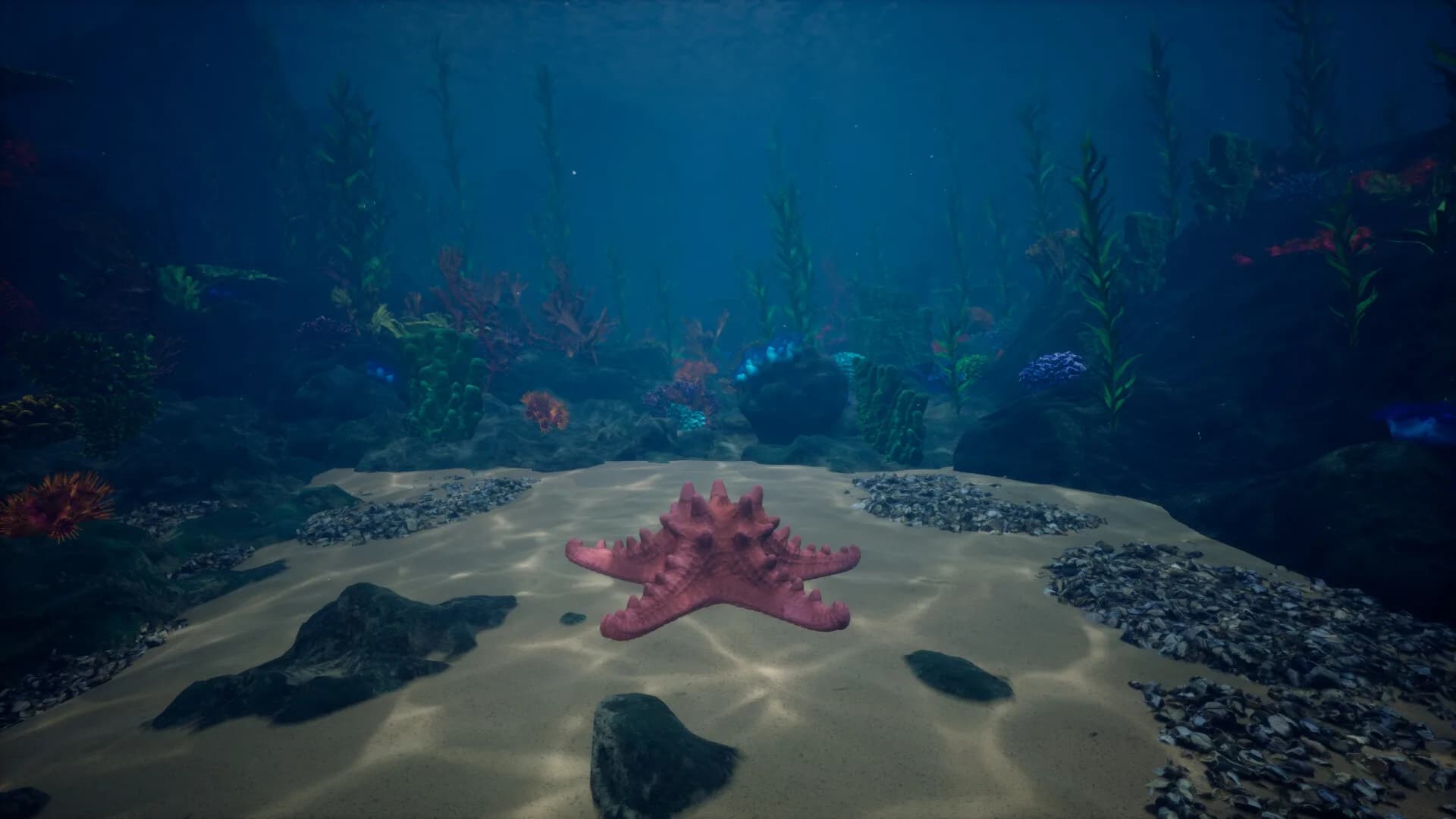 Starfish Simulator 👍 görsel 5