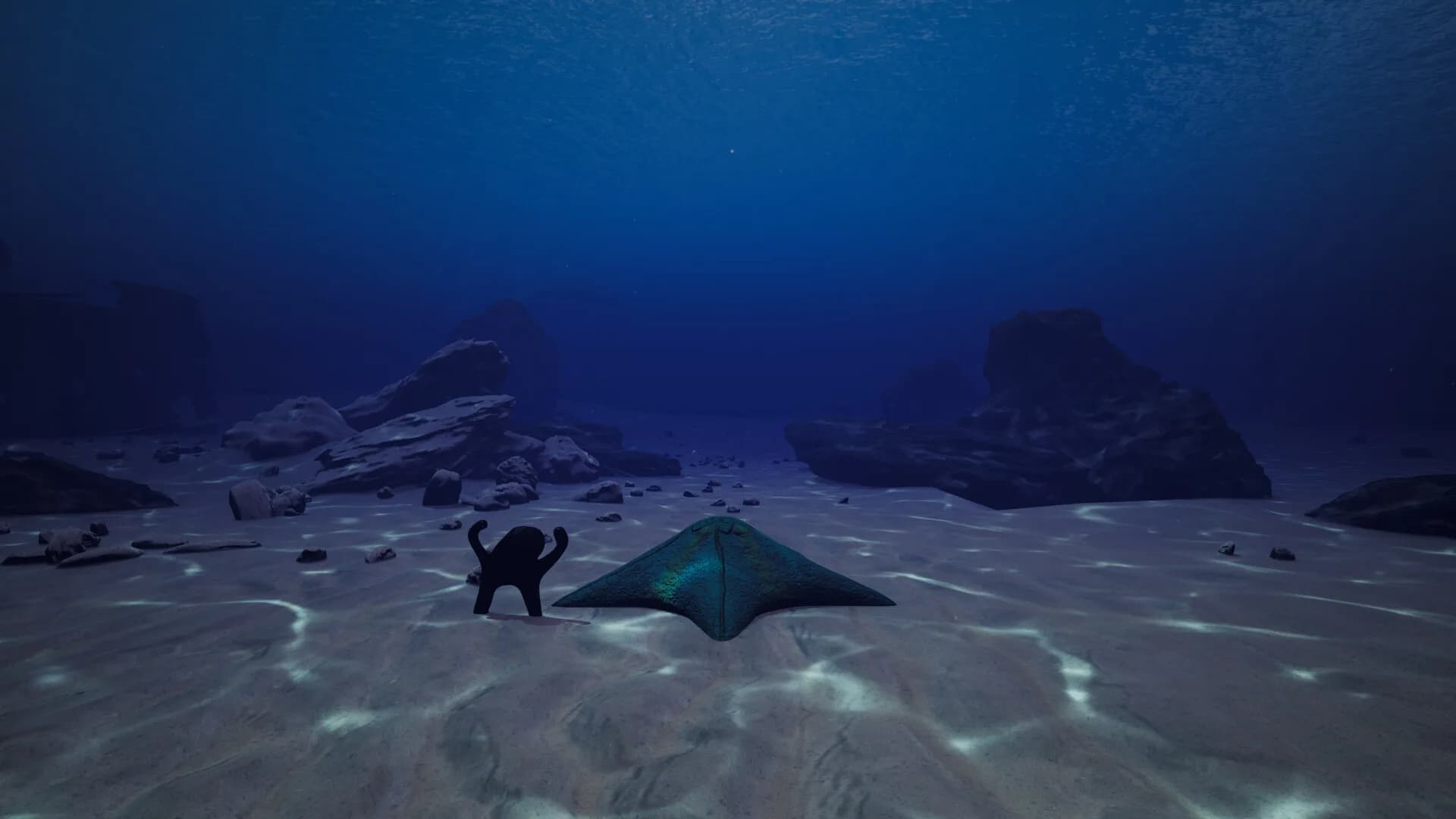 Starfish Simulator 👍 görsel 6