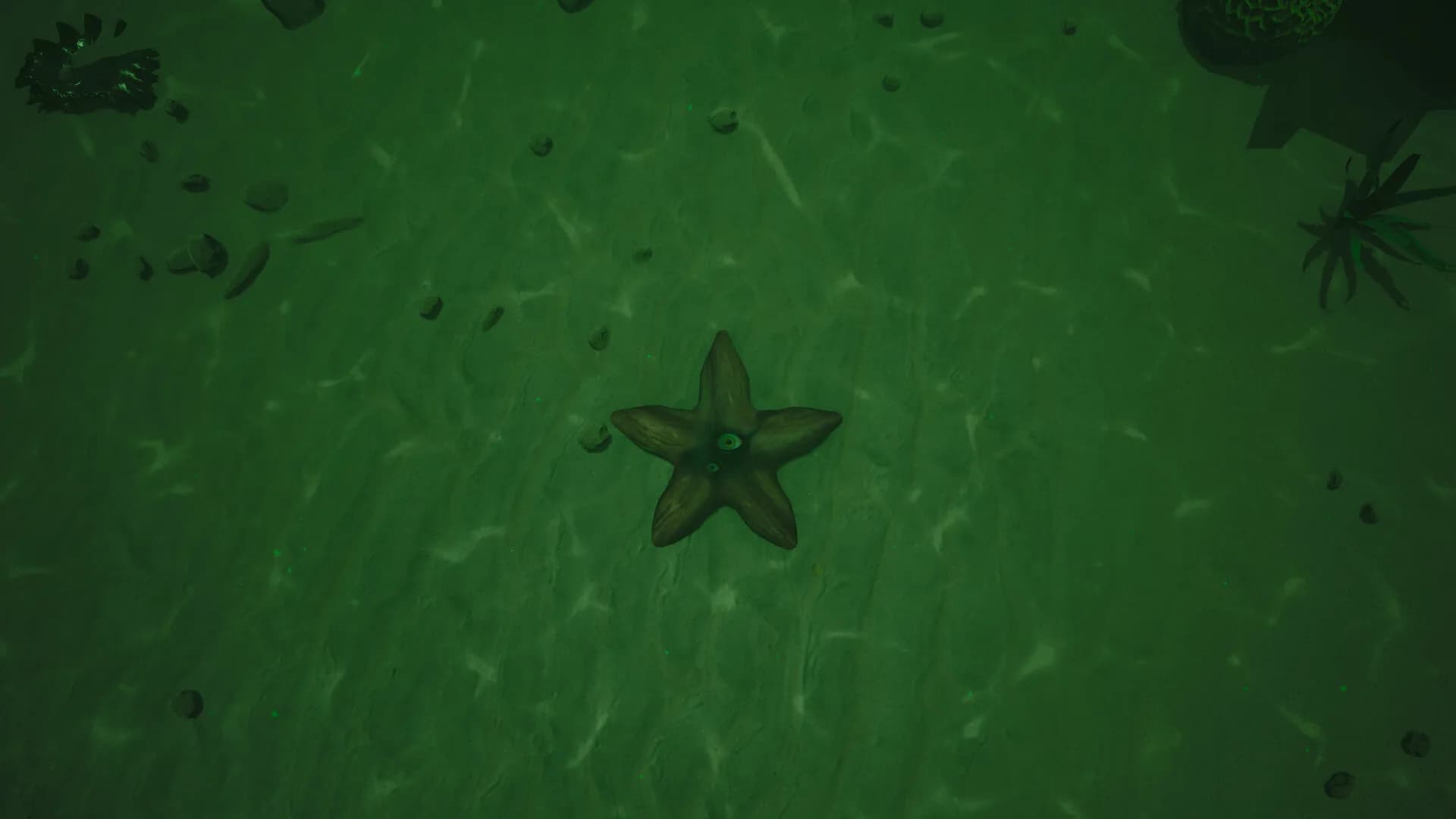 Starfish Simulator 👍 görsel 9